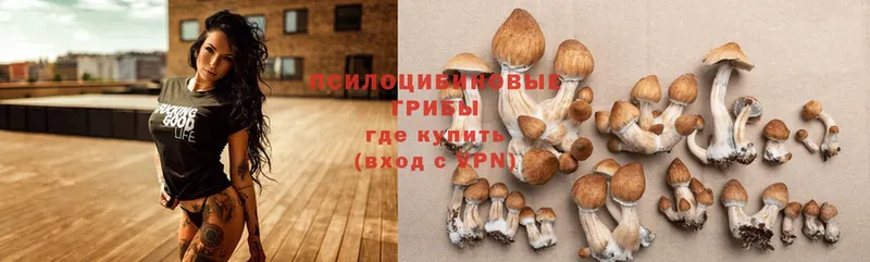 Псилоцибиновые грибы Magic Shrooms Богородицк