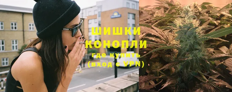 Бошки марихуана White Widow  Богородицк 